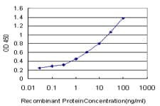 SYT4 Antibody (clone 5F8)