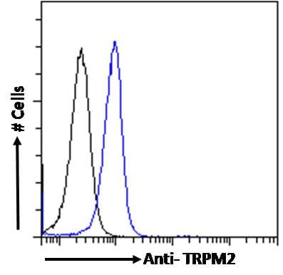 IHC-plus™ TRPM2 Antibody (aa1139-1150)