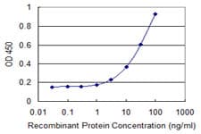 Monoclonal Mouse anti-Human ATXN7L1 Antibody (clone 1H2, WB)