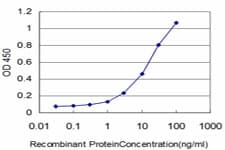Monoclonal Mouse anti-Human COASY Antibody (clone 2A12, WB)