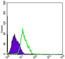 MSI1 / Musashi 1 Antibody (clone 2A12)
