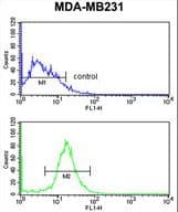 GBTS1 / DIRAS1 Antibody (aa109-136)