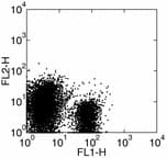 CD275 / B7-H2 / ICOS Ligand Antibody (clone HK5.3)
