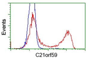C21orf59 Antibody (clone OTI2B2)