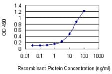 Monoclonal Mouse anti-Human CCNT2 / Cyclin T2 Antibody (clone 1H3, WB)
