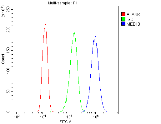 MED18 Antibody
