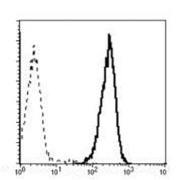 NCR1 / NKP46 Antibody (clone WEN23)