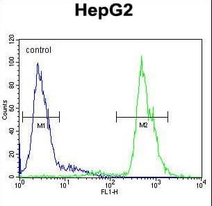 MAMSTR Antibody (aa9-37)