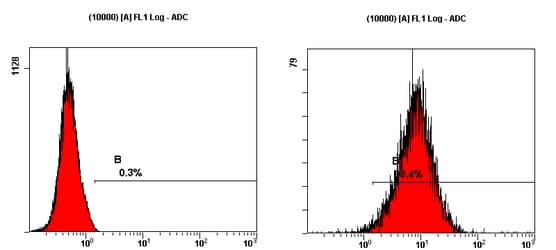 SSEA-3 Antibody (clone MC-631)