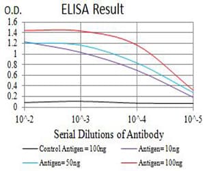 Monoclonal Mouse anti-Human CHRNA5 Antibody (clone 2D2D10, WB)