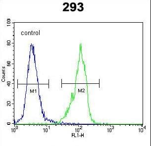 Polyclonal Rabbit anti-Human GAL / Galanin Antibody (aa73-101, IF, WB)