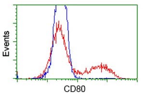 CD80 Antibody (clone OTI1E9)