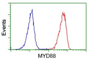 MYD88 Antibody (clone OTI1A10)