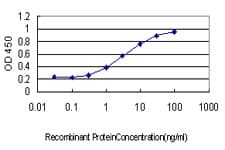 GEM / KIR Antibody (clone 4B12)