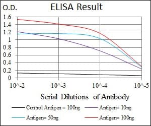 Monoclonal Mouse anti-Human C17orf53 Antibody (clone 3E10H2, aa282-527, WB)
