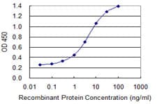 IL36B Antibody (clone 1E4)