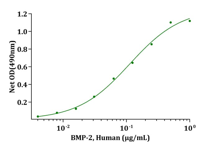 Human BMP2 Protein (Recombinant)