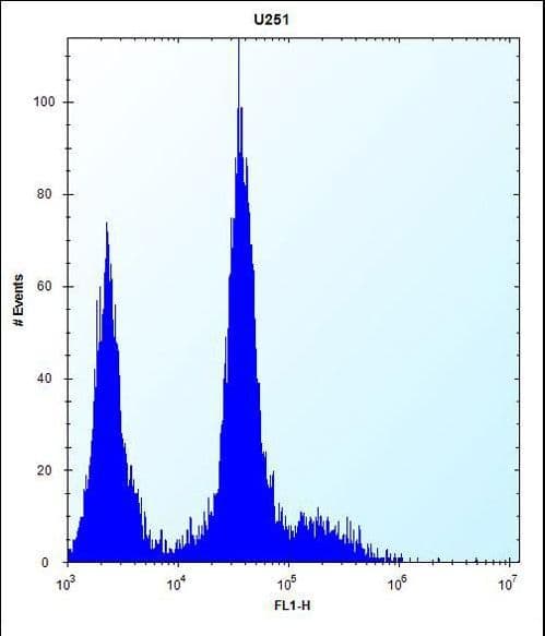 PDGFRA / PDGFR Alpha Antibody (aa1048-1077)