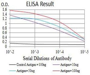 HAVCR1 / KIM-1 Antibody (clone 3A12E10)