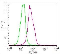 DNMT3A Antibody (FITC)