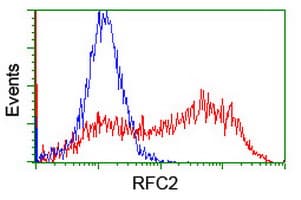RFC2 / RFC40 Antibody (clone OTI4C11)