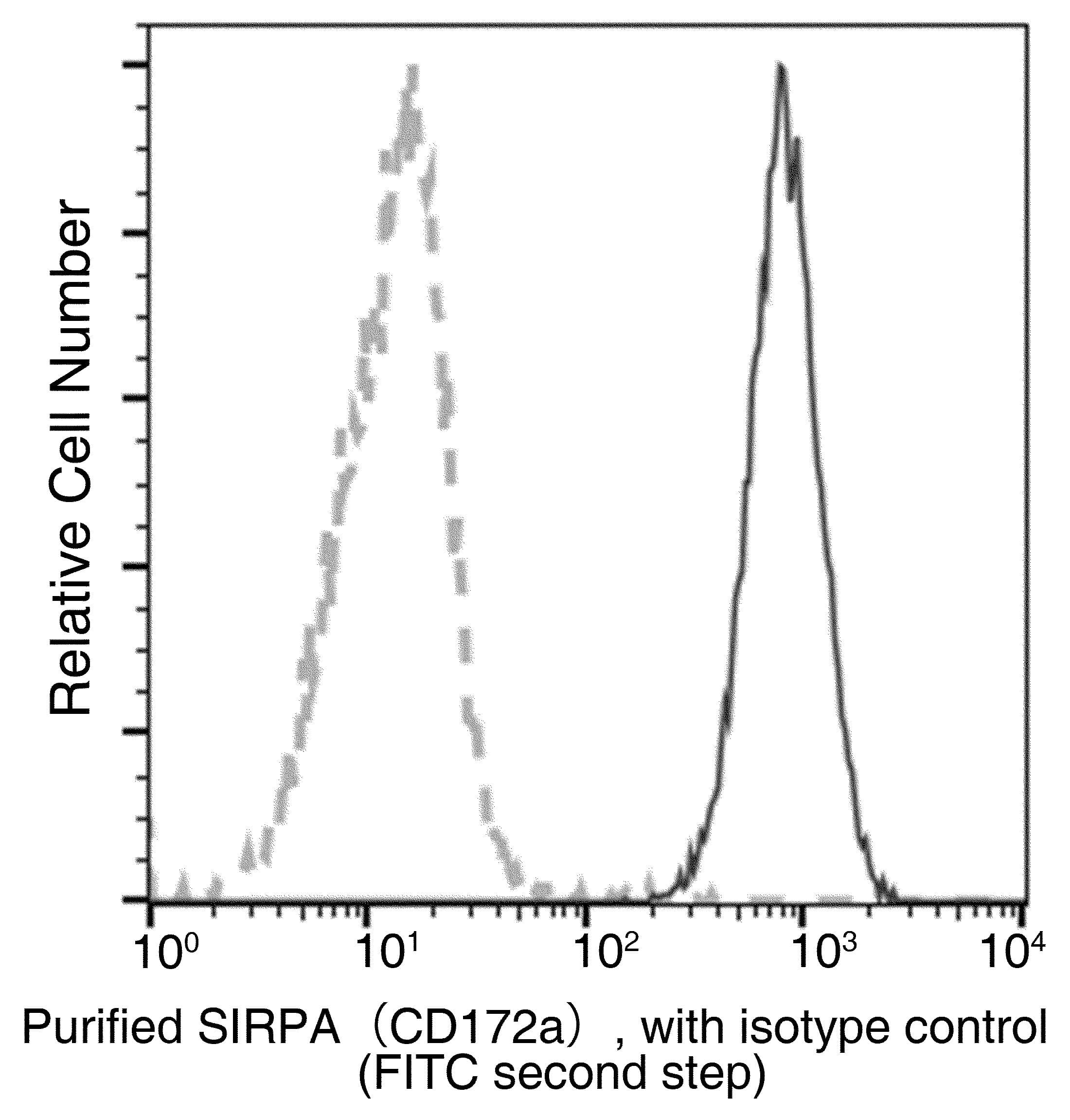 SIRPA / CD172a Antibody (clone 103, Preservative Free)