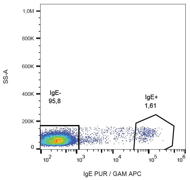 Mouse Anti-Human IgE Secondary Antibody (clone BE5)