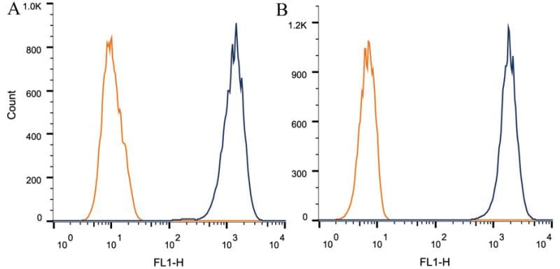 RICTOR Antibody (clone 7B3)