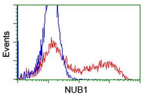 NUB1 Antibody (aa1-326, clone OTI4H2, Carrier-free)