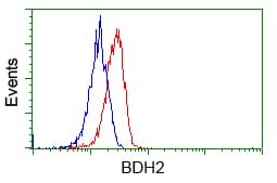 BDH2 Antibody (clone OTI4G4)