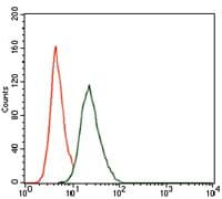 RUNX3 Antibody (Amino Acid: 186-252, clone 2B3)