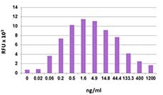 Human CCL19 / MIP3-Beta Protein (Recombinant)