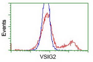 VSIG2 Antibody (clone OTI1F8, Carrier-free)