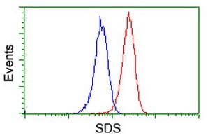 SDS Antibody (clone OTI3D3)