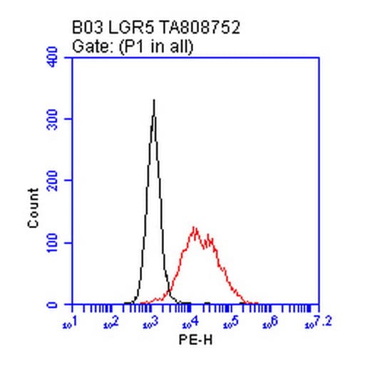 GPR49 / LGR5 Antibody (aa22-543, clone OTI7F2)