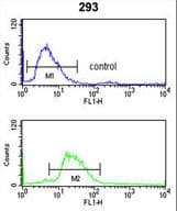 LRG1 / LRG Antibody (aa194-223)