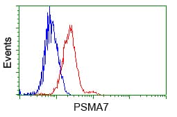 PSMA7 Antibody (clone OTI8F9)