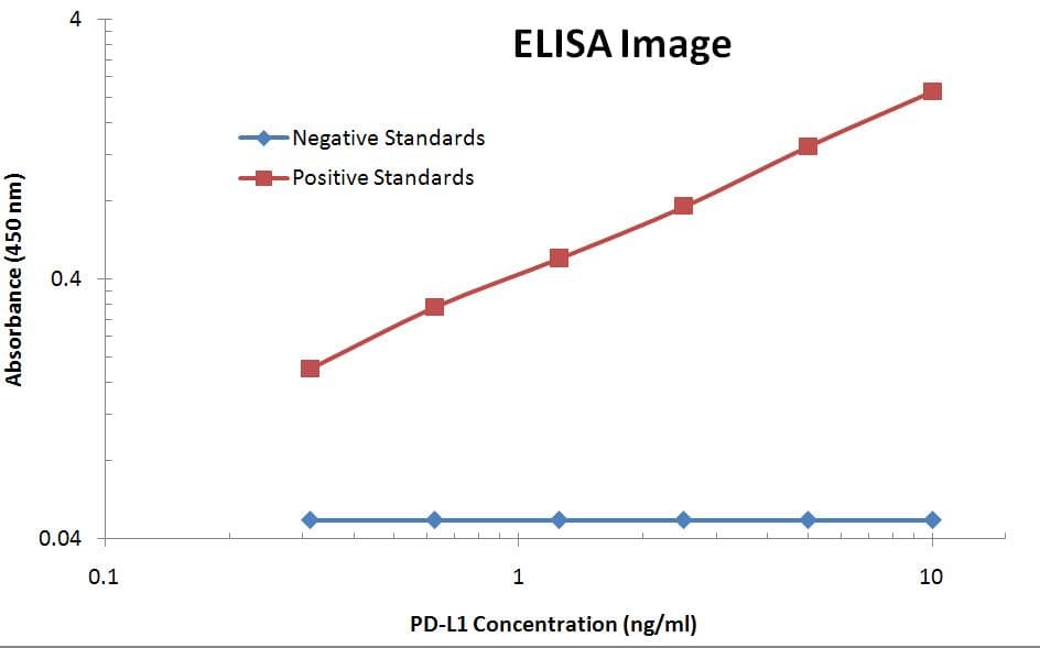 CD274 / B7-H1 / PD-L1 Antibody (aa19-239, clone OTI9E12)
