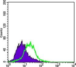 KRT15 / CK15 / Cytokeratin 15 Antibody (clone 60000000)