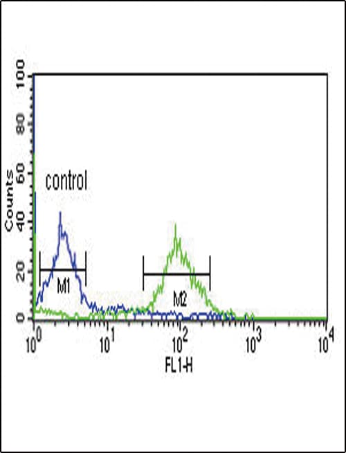 IHC-plus™ ECI1 / DCI Antibody (aa275-302)