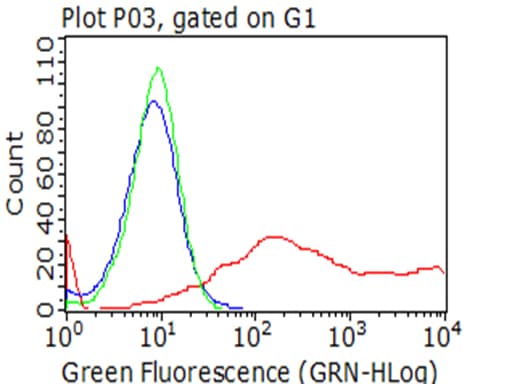 Monoclonal Mouse anti-Human HAVCR2 / TIM-3 Antibody (clone OTI2E5, WB)