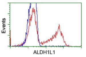 Monoclonal Mouse anti-Human ALDH1L1 Antibody (clone OTI7B7, IF, WB)