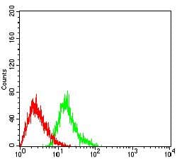EHMT2 / G9A Antibody (clone 6F3E5)