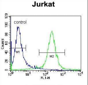DARS Antibody (aa154-183)