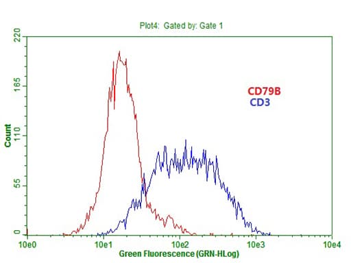 CD79B / CD79 Beta Antibody (clone OTI9H8)
