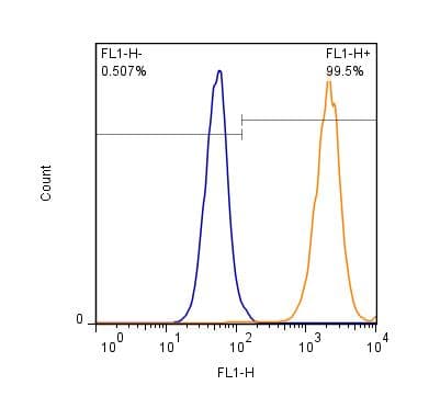 PathPlus™ Polyclonal Rabbit anti-Rat SLC1A3 / EAAT1 Antibody (aa500-542, IHC, WB)