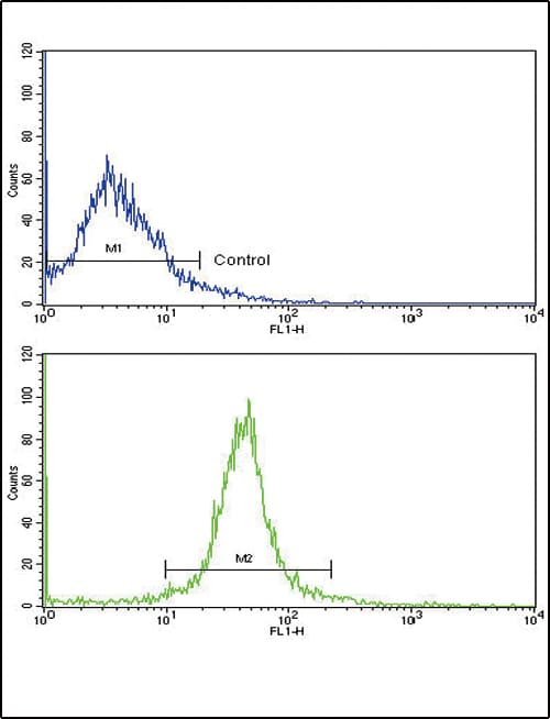 ADIPOR1/Adiponectin Receptor 1 Antibody (aa305-331)