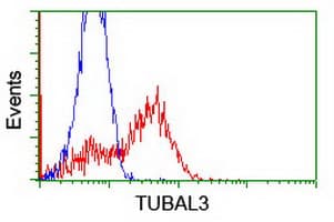 TUBAL3 Antibody (aa150-446, clone OTI4D9, Carrier-free)
