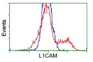 L1CAM Antibody (clone OTI2A11)