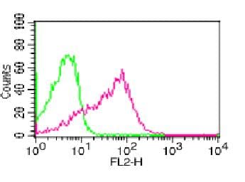 Monoclonal Mouse anti-Human PMAIP1 / NOXA Antibody (clone ABM16G6, WB)